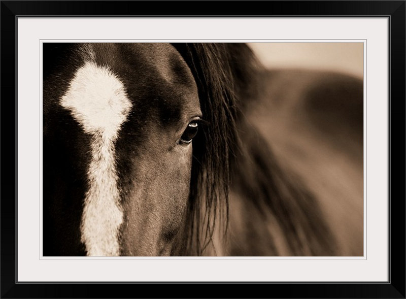 Kemani " Dark Eyes " by Lisa Dearing, 24" H x 32" W x 1" D, Black Frame