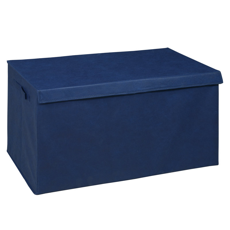 Niche Cubo Foldable Fabric Storage Trunk with Label Holder, Blue