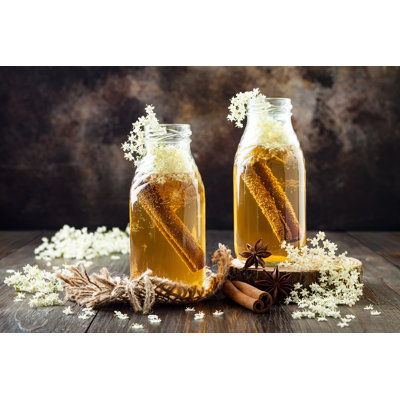 Kombucha - Wrapped Canvas Print