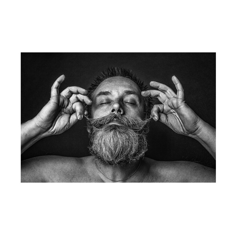 Bas Pisa Bearded Canvas Art, H 12 po x l 19 po