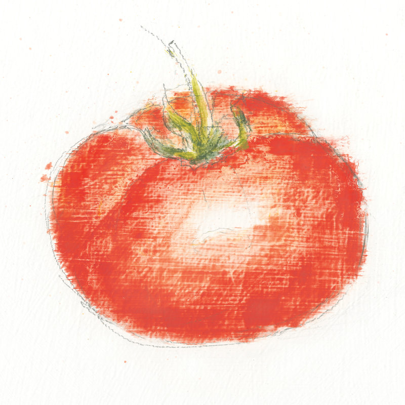 Garden Delight XII by Emily Adams - No Frame Painting on Canvas, 51cm H x 51cm W x 3.8cm D
