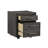 Keniston Castered Filing Cabinet w/ Two Drawers
