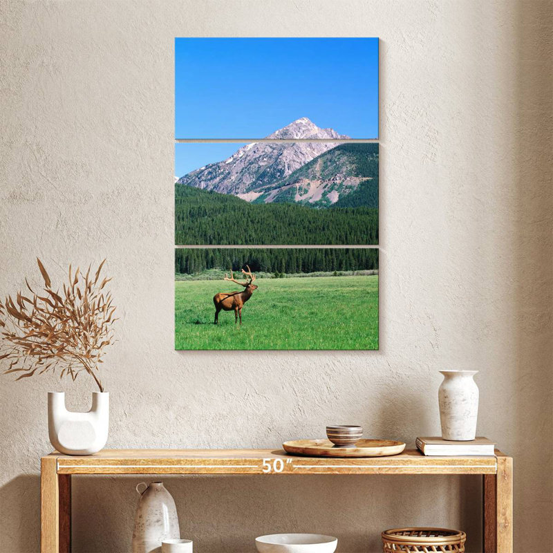 Brampt Coyote Valley Elk, 65" H x 42" W