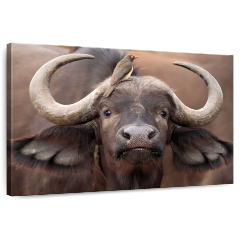 Buffalo And Oxpecker, 32" H x 48" W