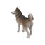 Statue pour chien sibérie husky