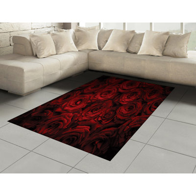 Knapp Mixed Hand Woven Area Rug