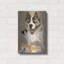 "Akita" par Barbara Keith-1329389043