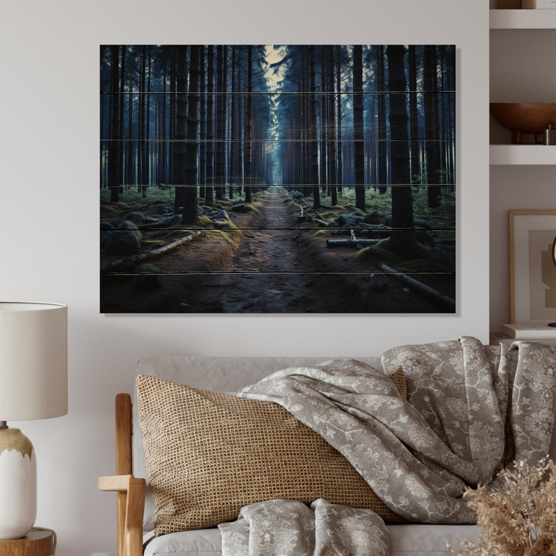 Sentier bleu vers la forêt sur bois, H 30 po x l 40 po x P 0,78 po