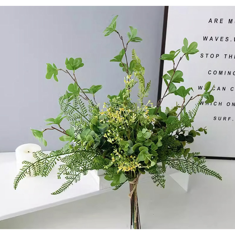 17,72 plante