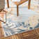 TOMMY BAHAMA Bimini Blooming Border Indoor Outdoor Area Rug Blue/Grey/Coral