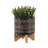 S/2 5/8" GLAZED PLANTER W/ STAND, BLACK