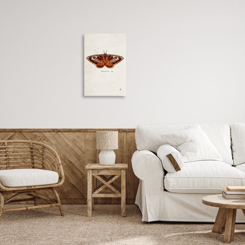 Art scientifique sur toile «Moth» par Lydia Orange, H 24 po x l 16 po