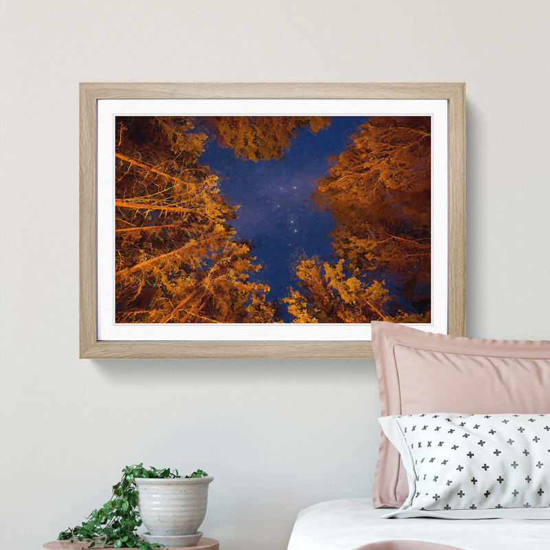 Forest Stars in Canada - Picture Frame Graphic Art Print, Oak Framed, 27cm H x 36cm W x 2cm D