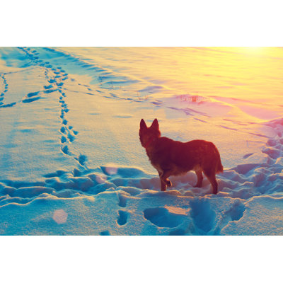 Byerly Dog - Wrapped Canvas Print