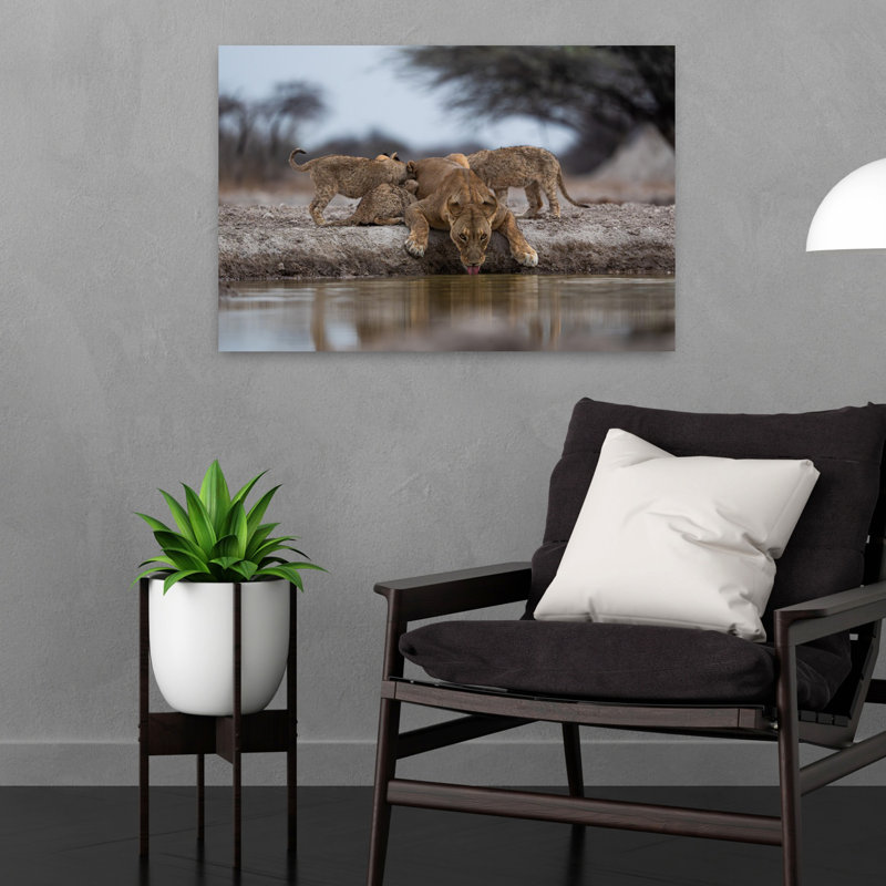 Print, 40.64cm H x 60.96cm W