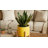 Ramer Planter Ceramic and Stoneware with Wooden Stand-770724191-770724187