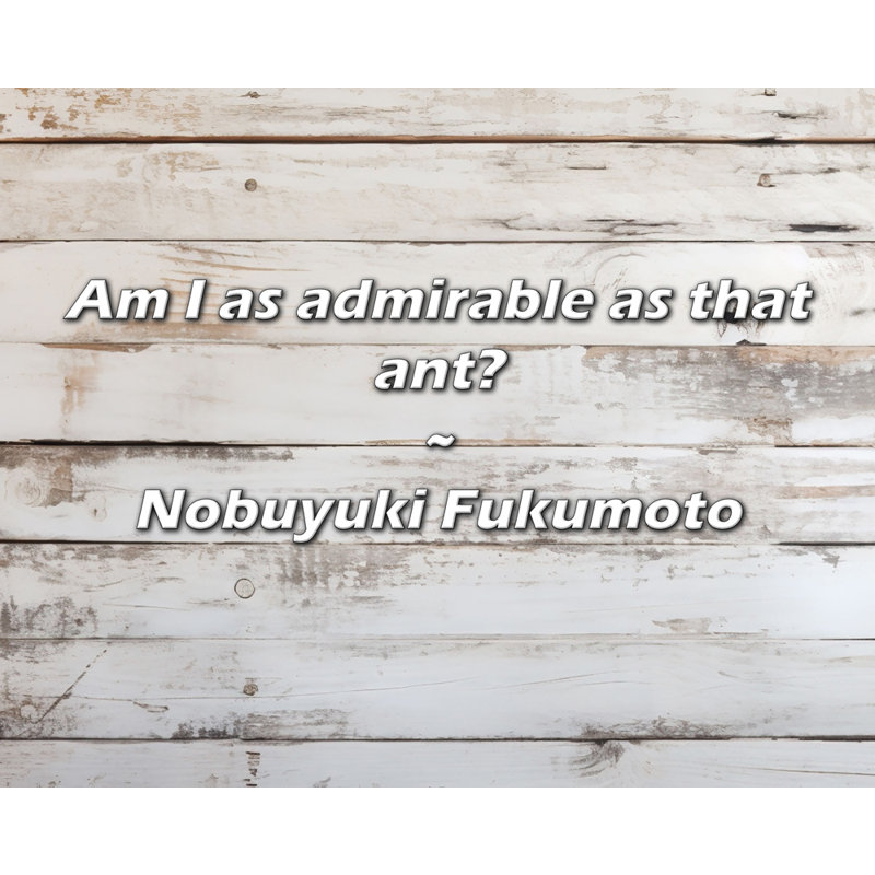 Citation de Nobuyuki Fukumoto: Suis-je aussi admirable que cette fourmi?