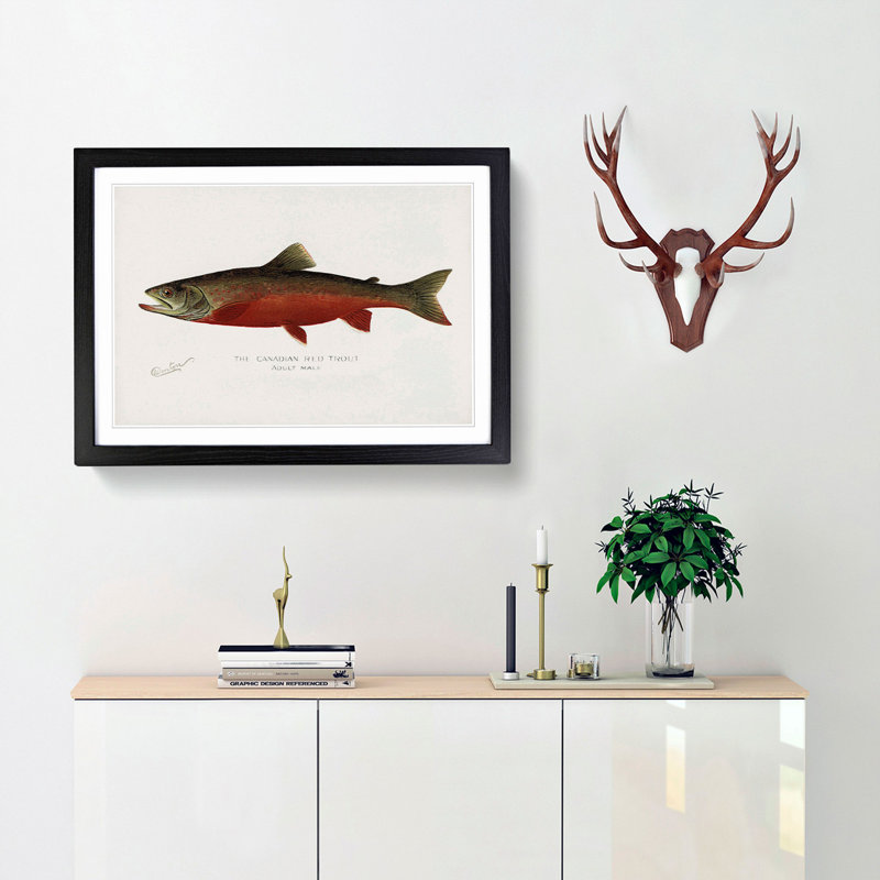 Canadian Red Trout by Sherman F. Denton - Picture Frame Painting Print on MDF, 36cm H x 48cm W x 2cm D, Black Framed