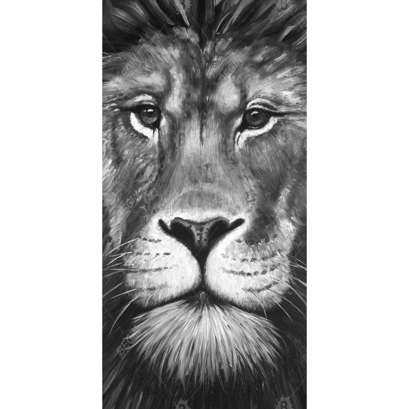 Portrait de lion - Toile encadrée pour la décoration de salon | Home Art