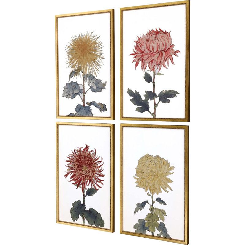 Chrysanthème S / 4