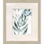 Underwater Botany Set by Barnes Propac Images