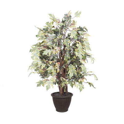 Artificial Frosted Maple Extra Full Series