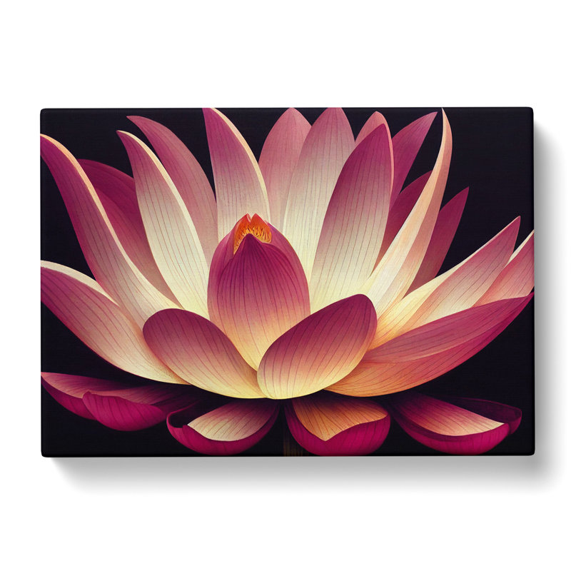 Adorable Lotus Flower - Wrapped Canvas, 40cm H x 60cm W x 3cm D