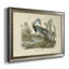 Audubons Louisiana Heron - reproduction d'art sur toile-1297843527