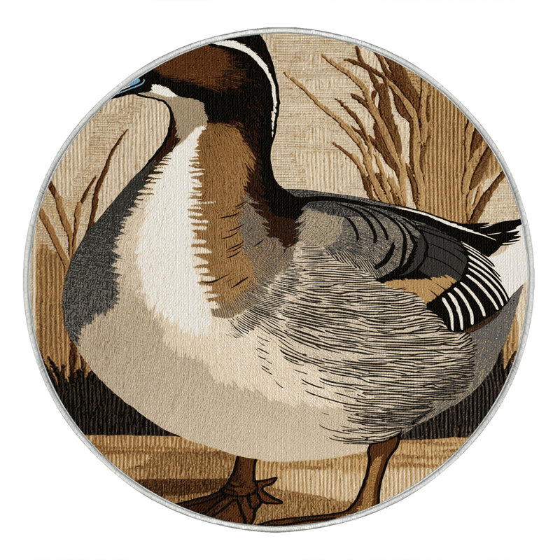  Tapis lavable oiseaux à canard pilet, Tapis de couloir 2 pi x 4 pi