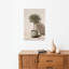 Potted Olive Tree Shadow Peaceful Rustic Abstract Olive Tree Nature Landscape Wall Art Print by Andreas Magnusson - Wrapped Canvas Print-625555452