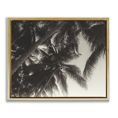 Toile de palmier foncé encadrée par Acosta