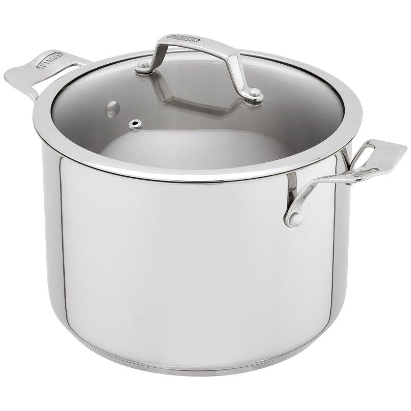 Stellar 18/10 Stainless Steel 24cm Stockpot with Glass Lid