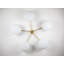Stella 5 - Light Chandelier