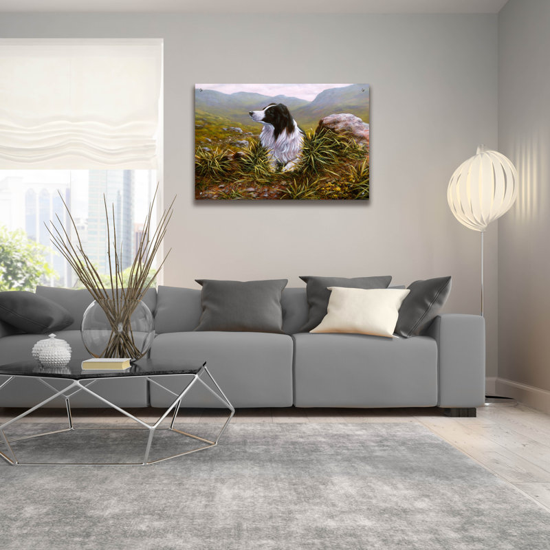 Art mural en verre rouge «Thoughtful Border Collie» par John Silver, Red Barrel Studio®, H 24 po x l 36 po x P 0,2 po