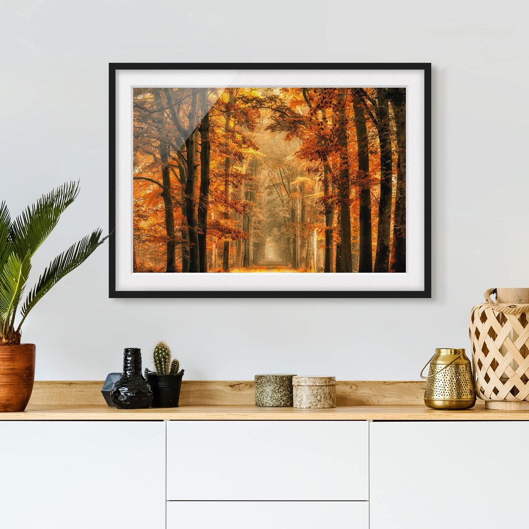 Gerahmtes Poster Fairy Tale Forest in Autumn