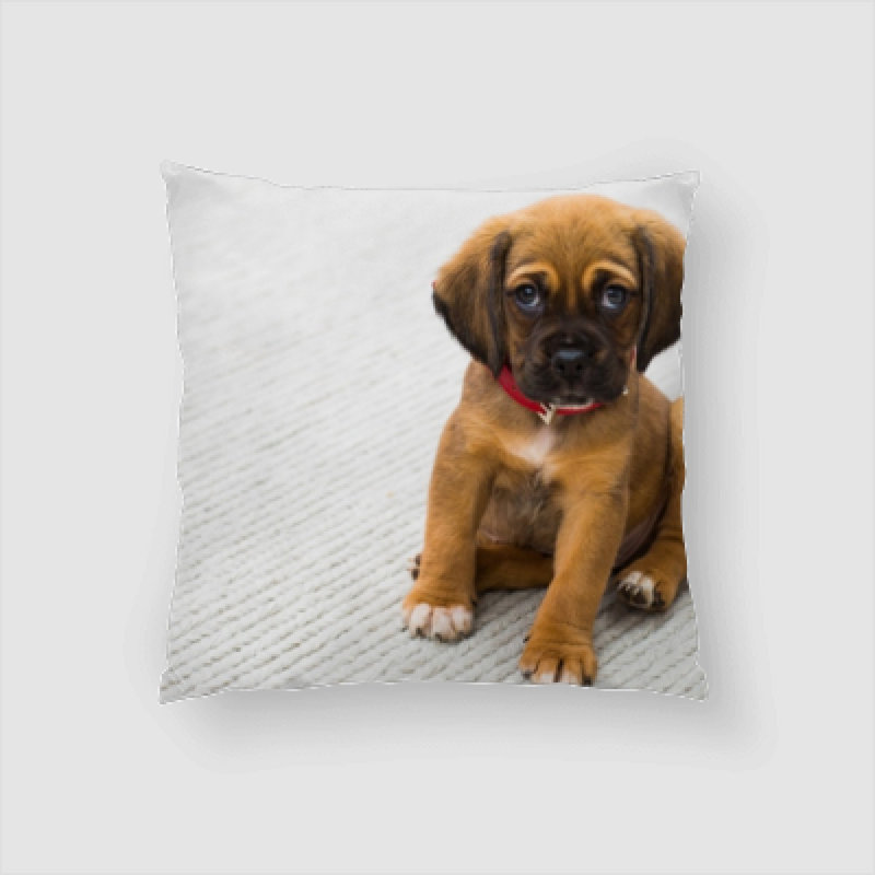 Craven Sad Puppy Throw Pillow