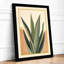 Succulent Study Botanical - Framed Print-452790892-452790898