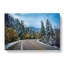 Winter Forest Road - Wrapped Canvas-55305219