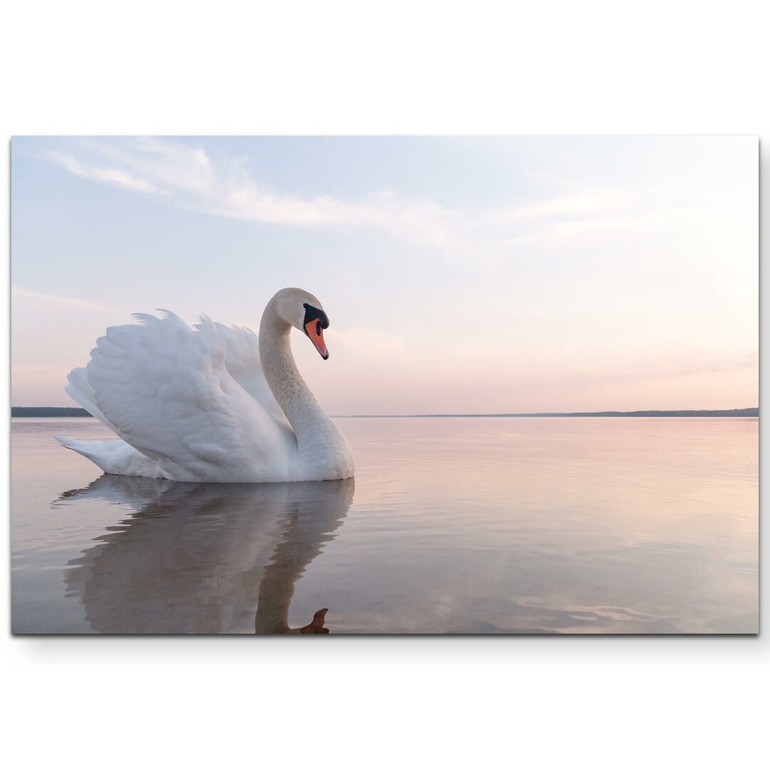 Leinwandbild Schwan auf einem See an einem sonnigen Tag