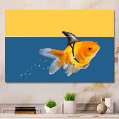 " Goldfish Shark Swimming "