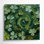 Art mural sur toile trèfle botanique vert