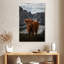 Scott Brown Highland Cow-106962347