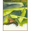 Here Before Painting by Christopher Kennedy