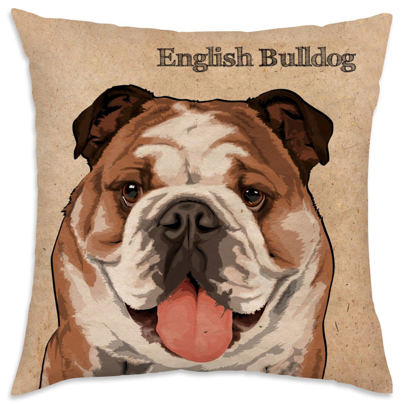 Coussin English Bulldog