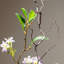 Ornements de fleurs simulées