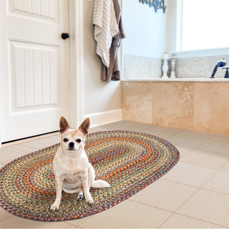  Braided Rug Pet Friendly Washable Indoor/Outdoor Multicolor Country Rug, Oval 1'8" x 2'6"