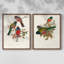 ElegantTrogonsIX - reproduction encadrée de qualité supérieure - prête à être accrochée - aucun clou requis - aucun clou requis-204381320-204381331
