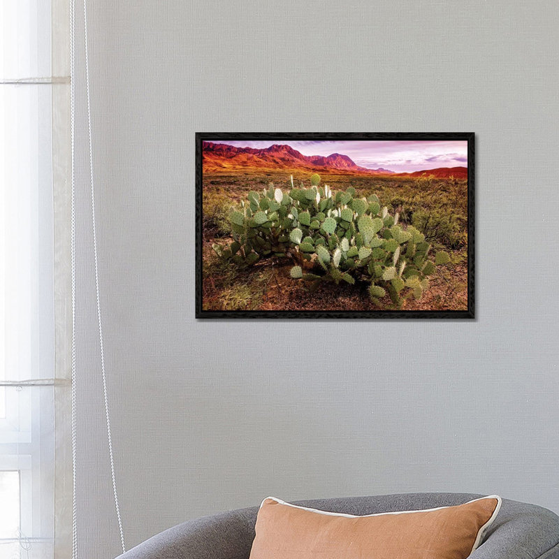 Chisos Mountains With Prickly Pear Cactus I by Susanne Kremer - Floater Frame Gallery-Wrapped Canvas Giclée on Canvas, Black