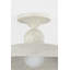 TEELIN Flush Mount