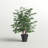 48'' Faux Tree in Wicker/Rattan Basket